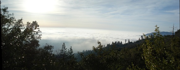 Panoramic View 2