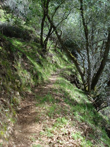 path09.jpg