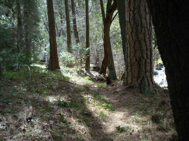 path13.jpg