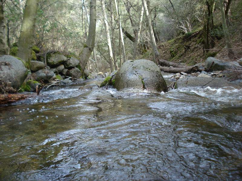 water_shot.jpg